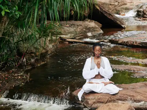 Gassho Gateway: Meditazione centrata sul cuore per praticanti Reiki