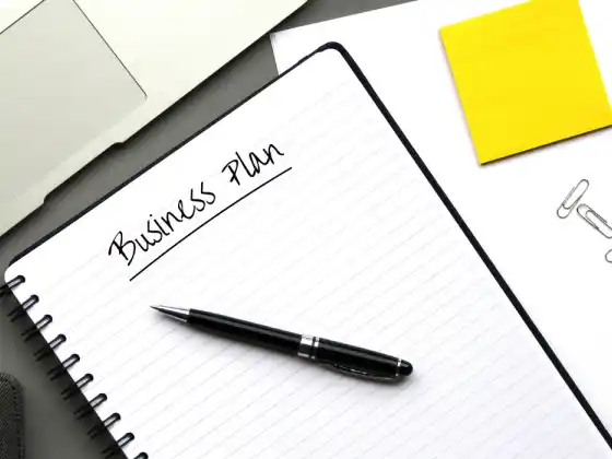 January 2025 WU Business Intensive - One-Page Business Success Plan
