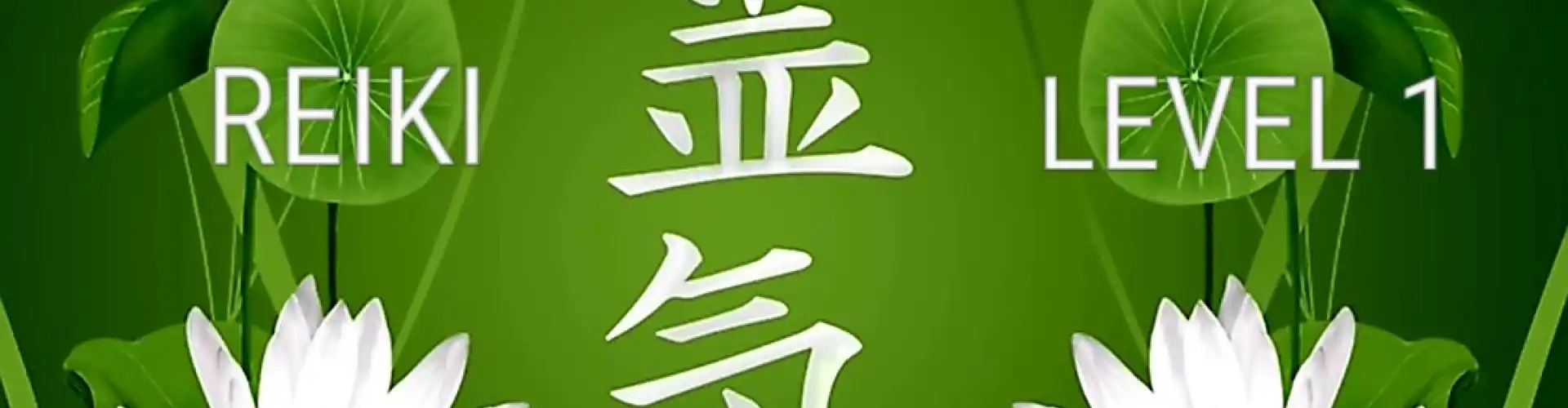 灵气1级 - Online Class by Cassaundra Paolini